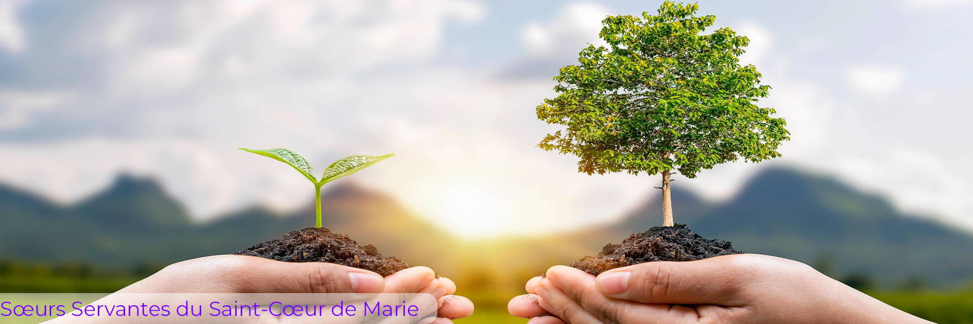 Sœurs Servantes du Saint-Cœur de Marie Sœurs Servantes du Saint-Cœur de Marie