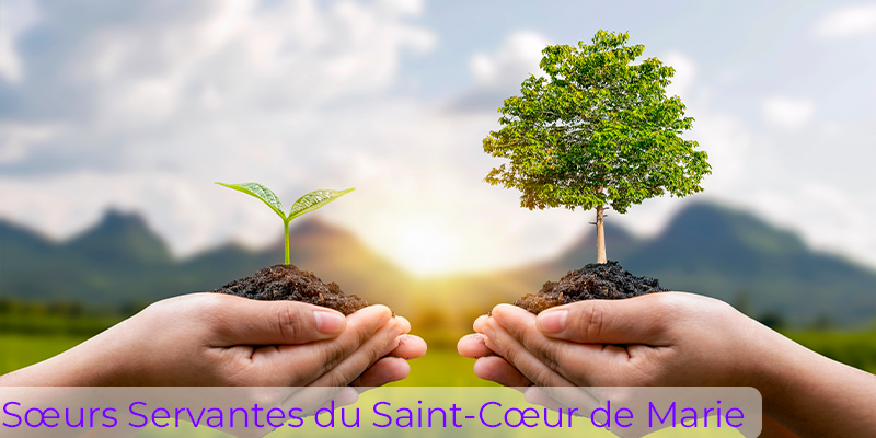 Sœurs Servantes du Saint-Cœur de Marie Sœurs Servantes du Saint-Cœur de Marie